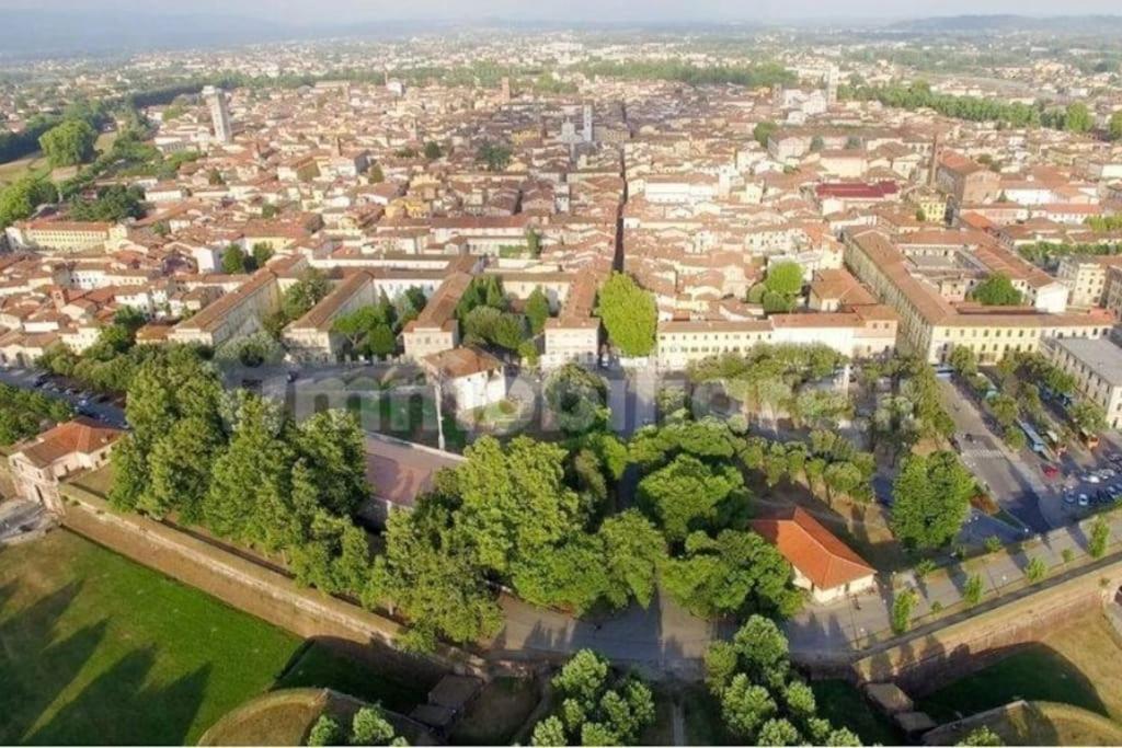 50 Metri Duomo Di Lucca Self Check-In E Wi-Fi Apartment Bagian luar foto